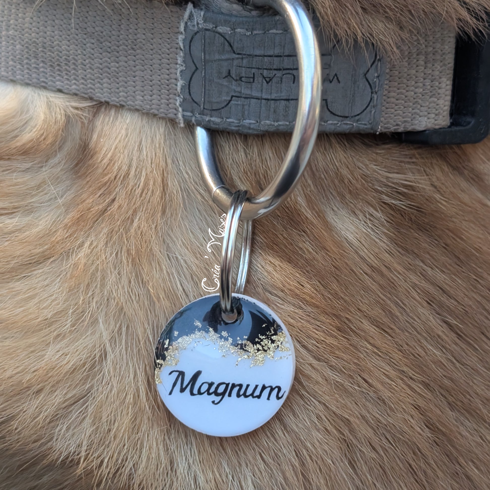 Médaille animal de compagnie