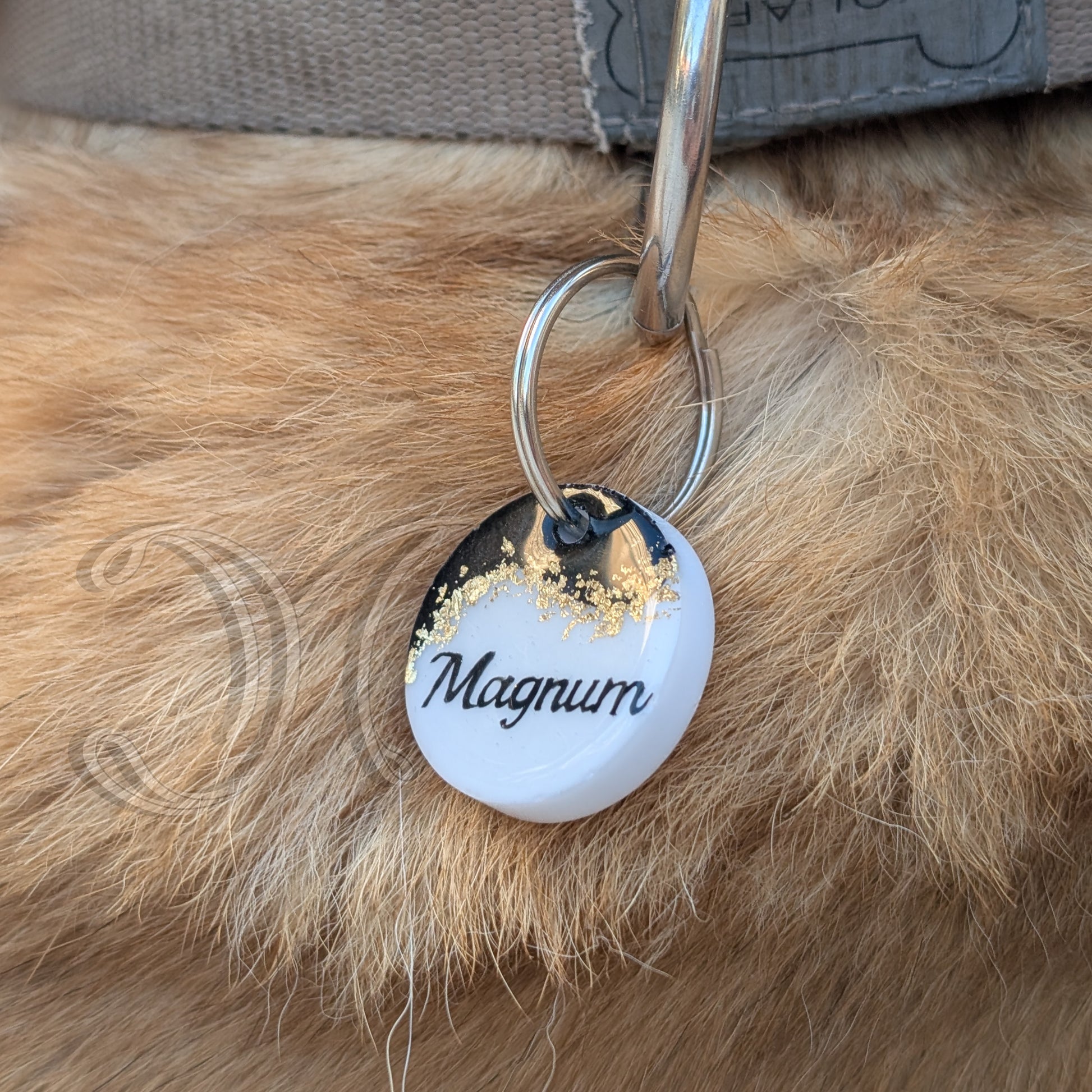 Médaille animal de compagnie