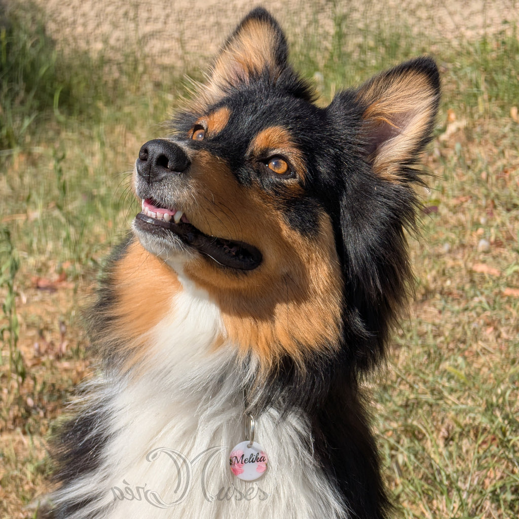 Médaille animal de compagnie Florale