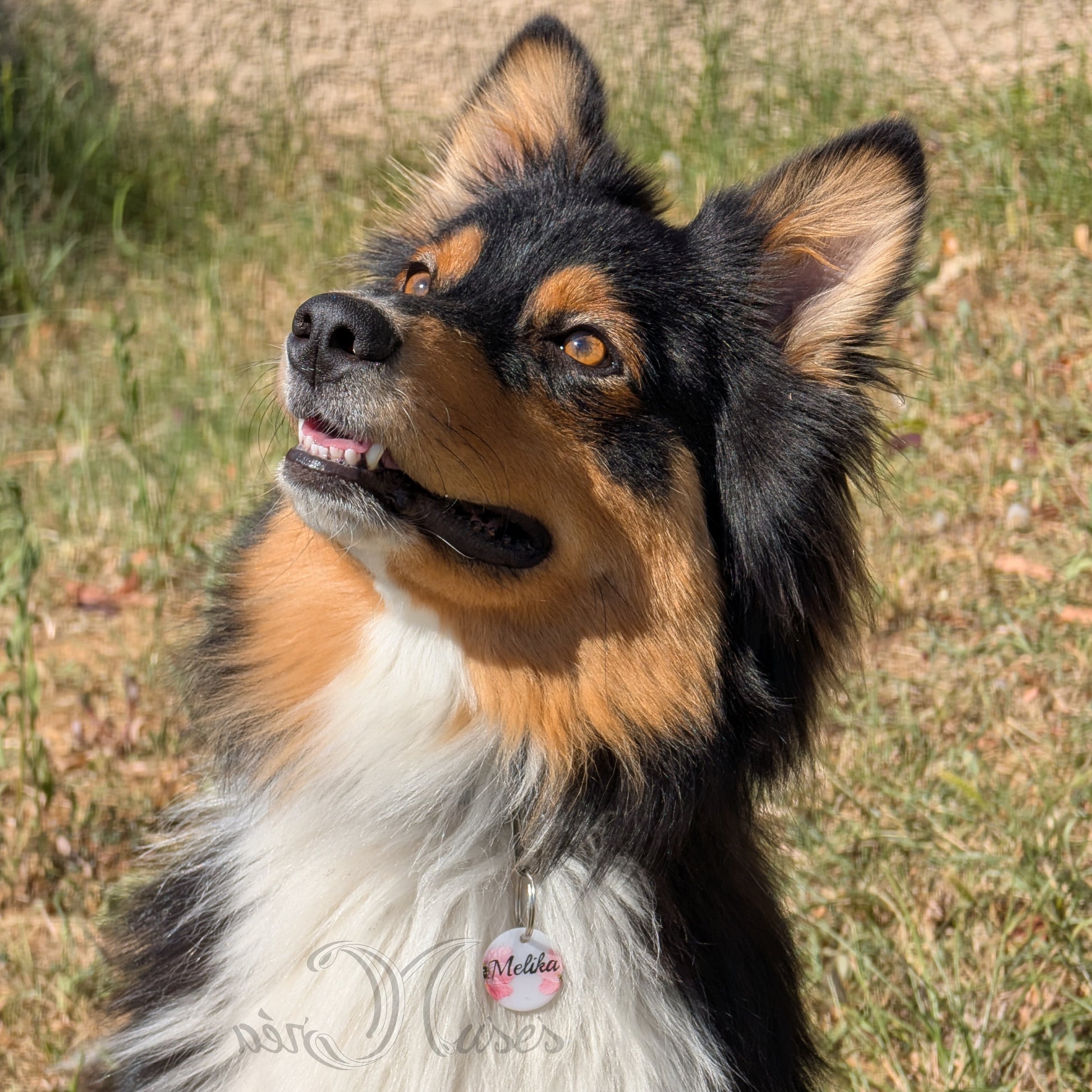 Médaille animal de compagnie Florale